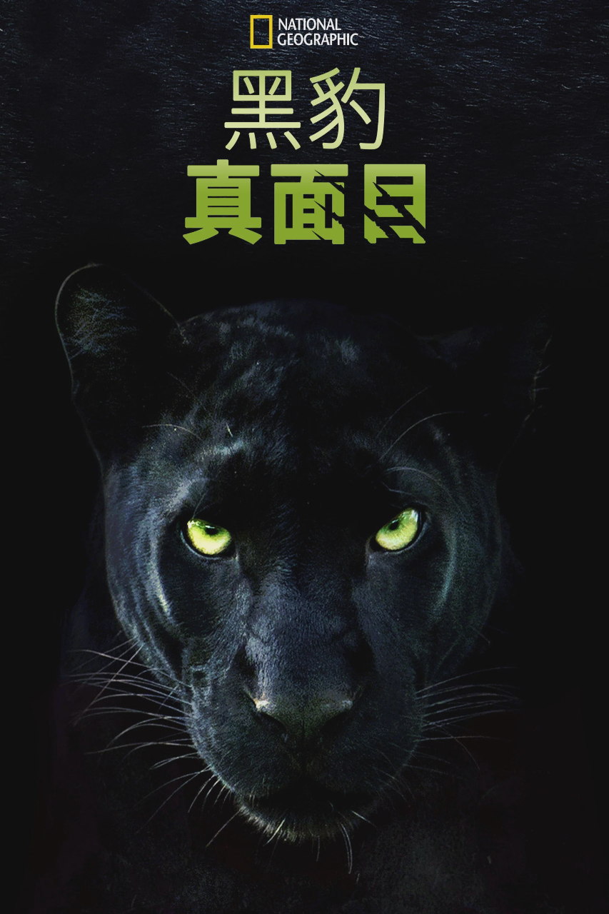 真黑豹无双