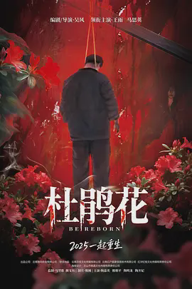 杜鹃花