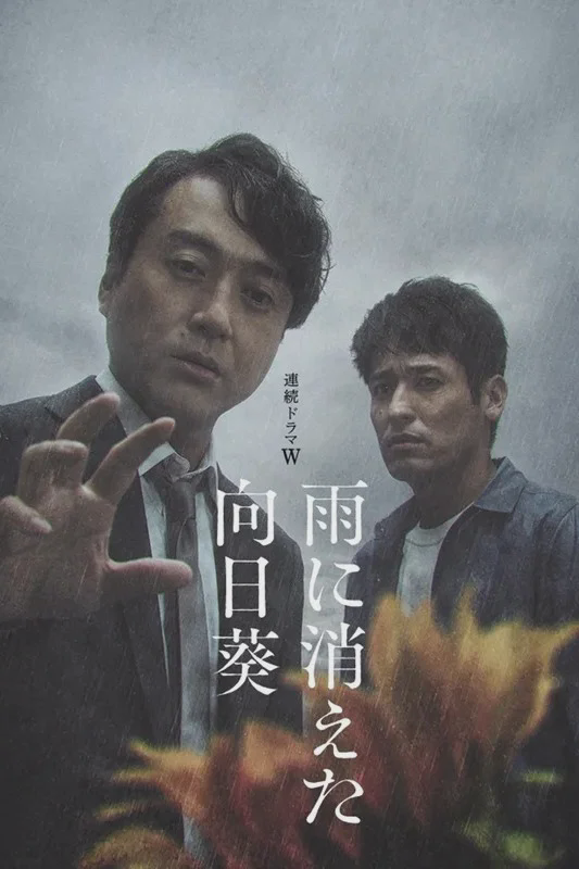 雨中消失的向日葵