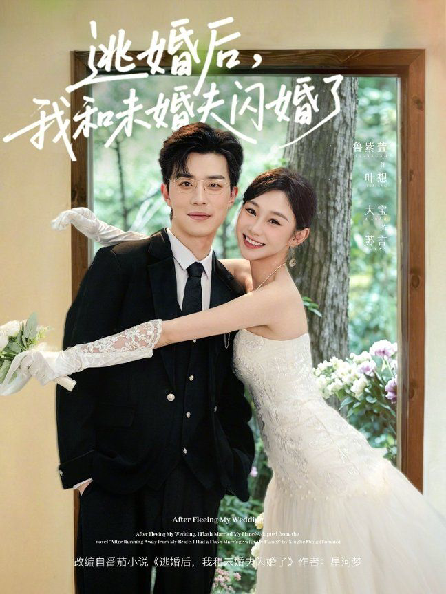 逃婚后，我和未婚夫闪婚了