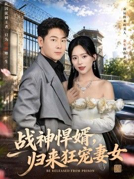 战神悍婿，归来狂宠妻女
