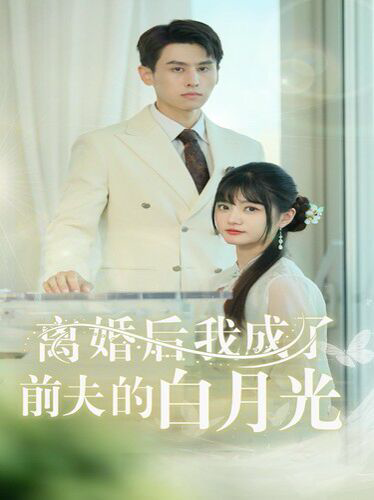 离婚后我成了前夫的白月光(总裁前夫太难缠)