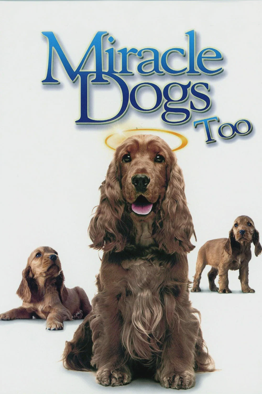 天降神犬2