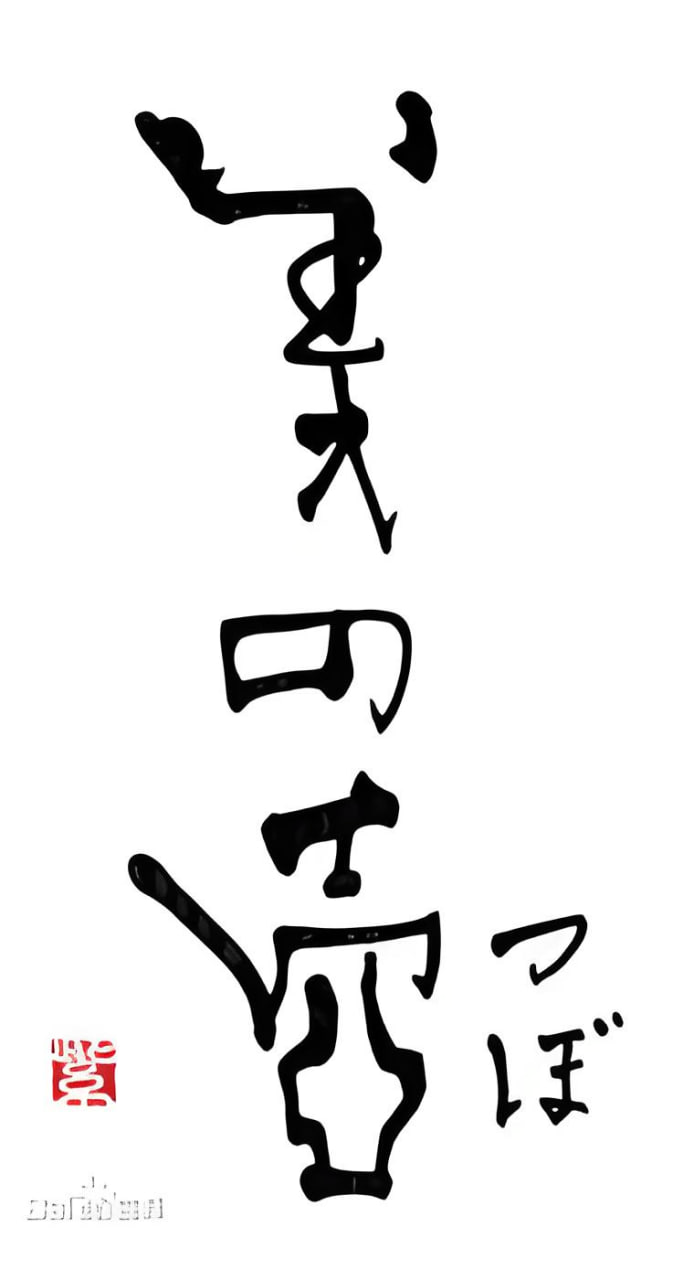 美之壶