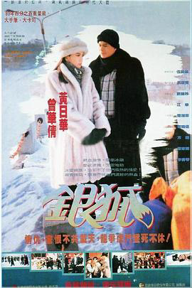 银狐1993