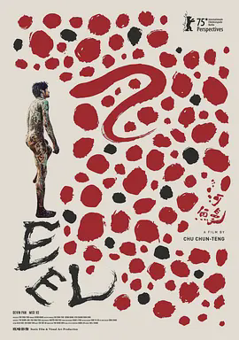 河鳗 河鰻