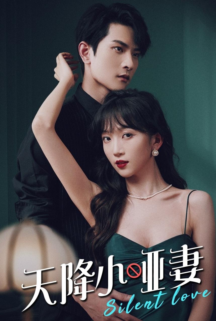 天降小哑妻