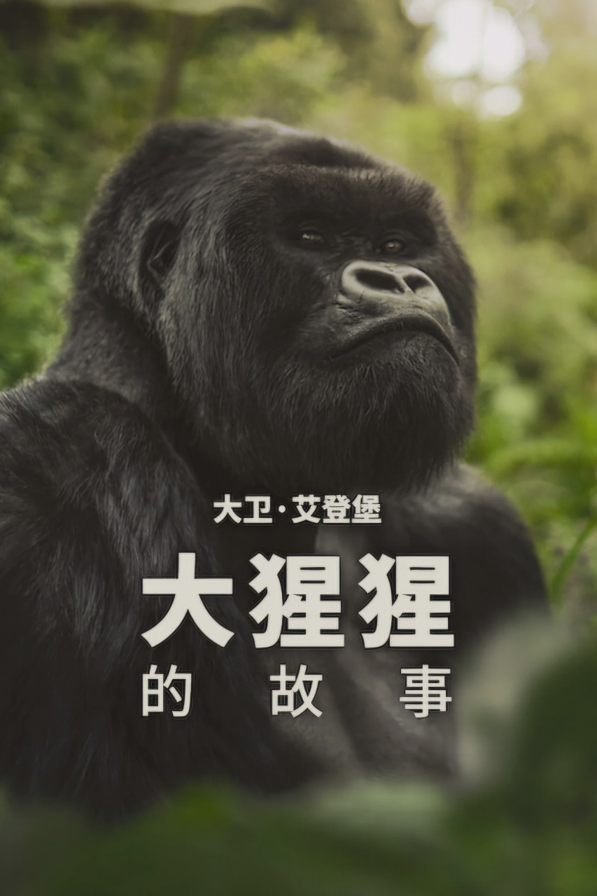 大卫·艾登堡:大猩猩的故事