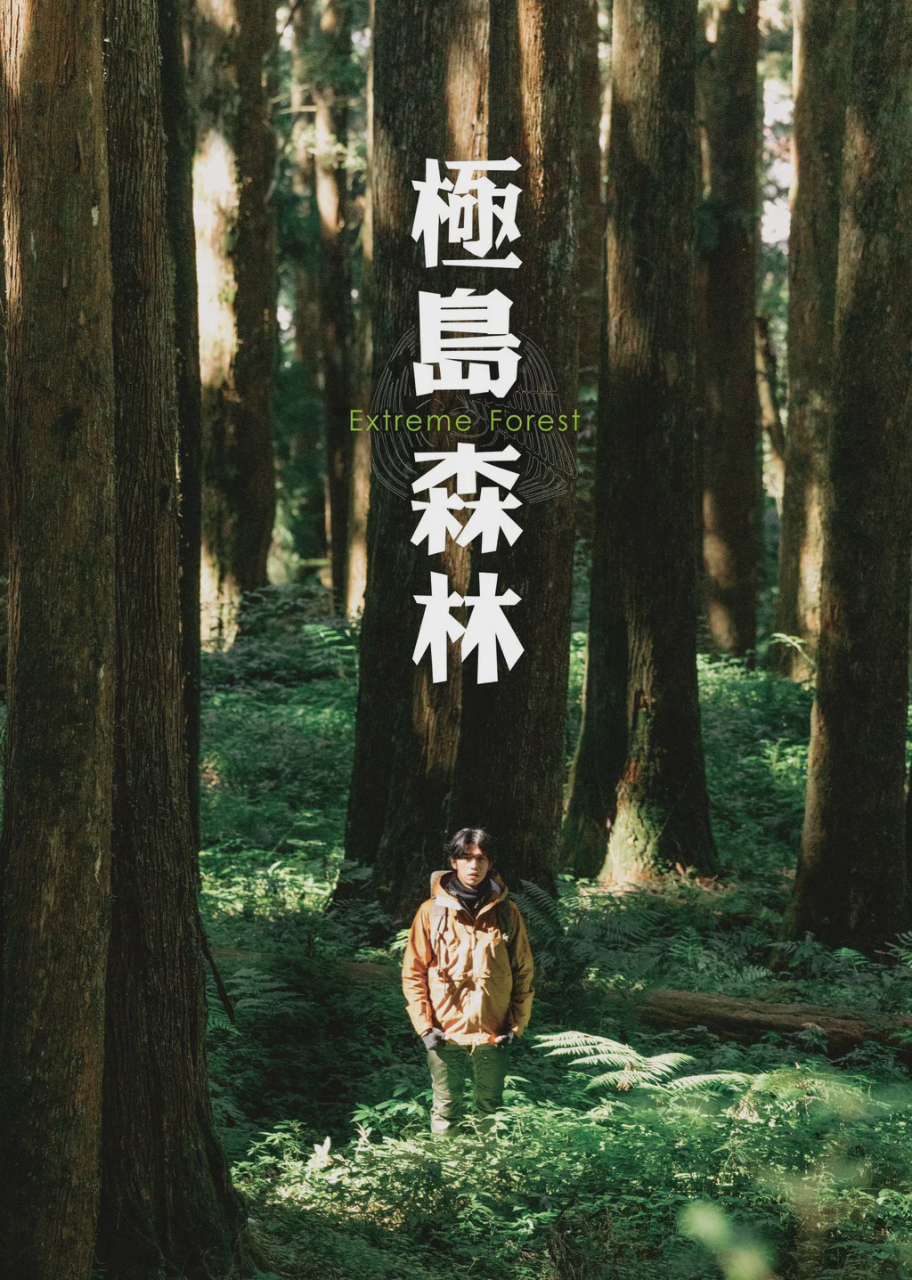 极岛森林