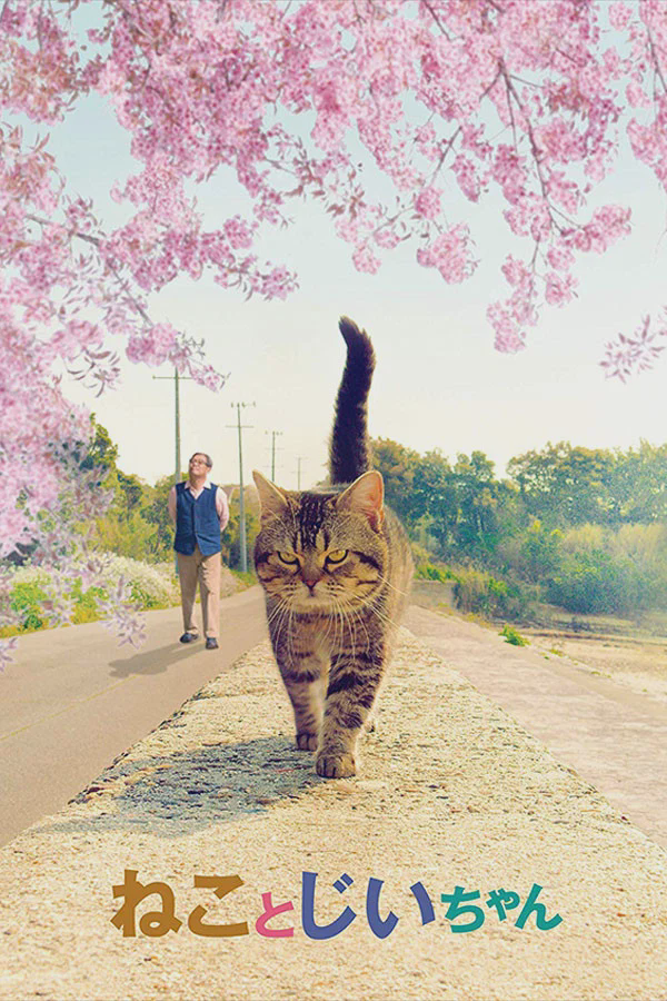 猫与爷爷