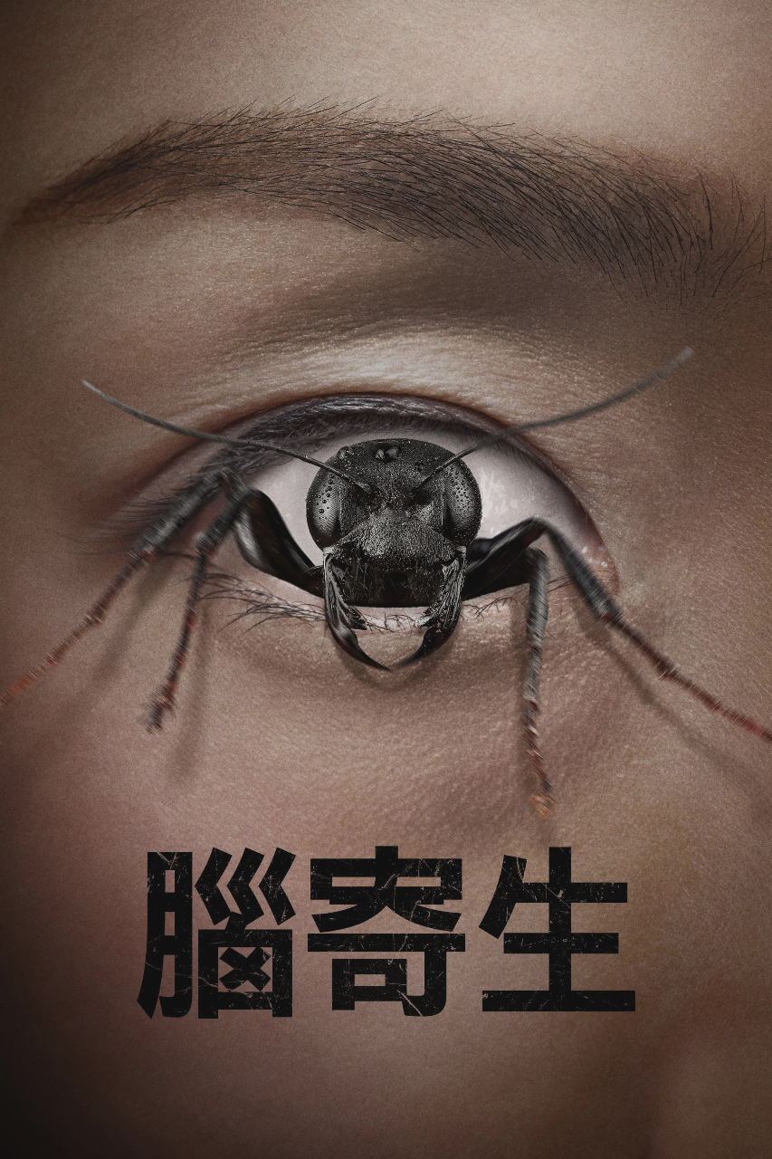 控制狂
