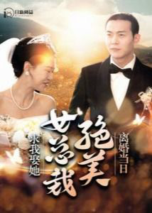 离婚当日,绝美女总裁求我娶她