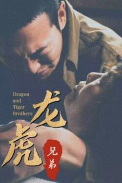 龙兄虎弟