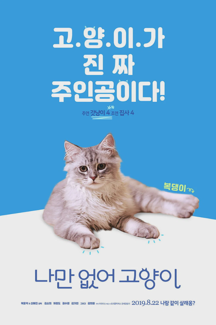 只有我没有猫