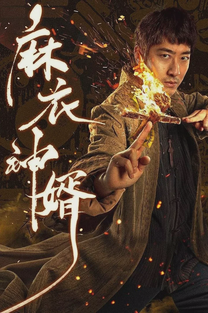 麻衣神婿