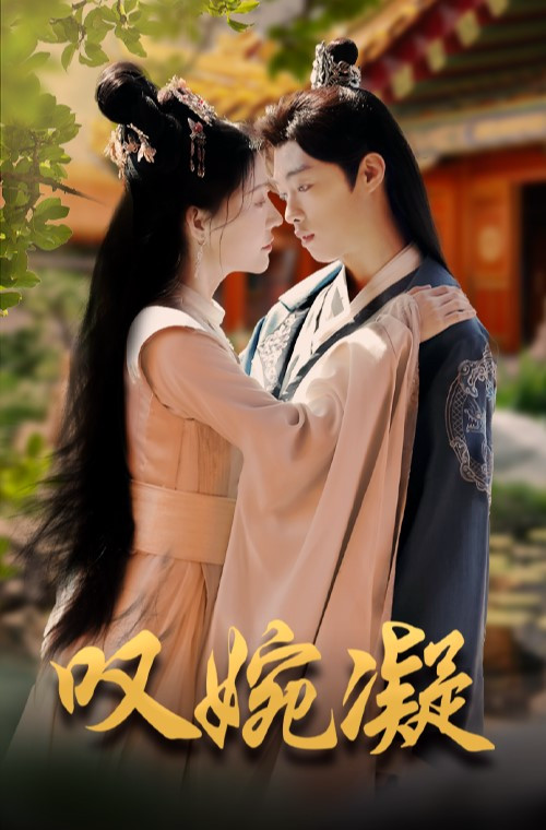 叹婉凝