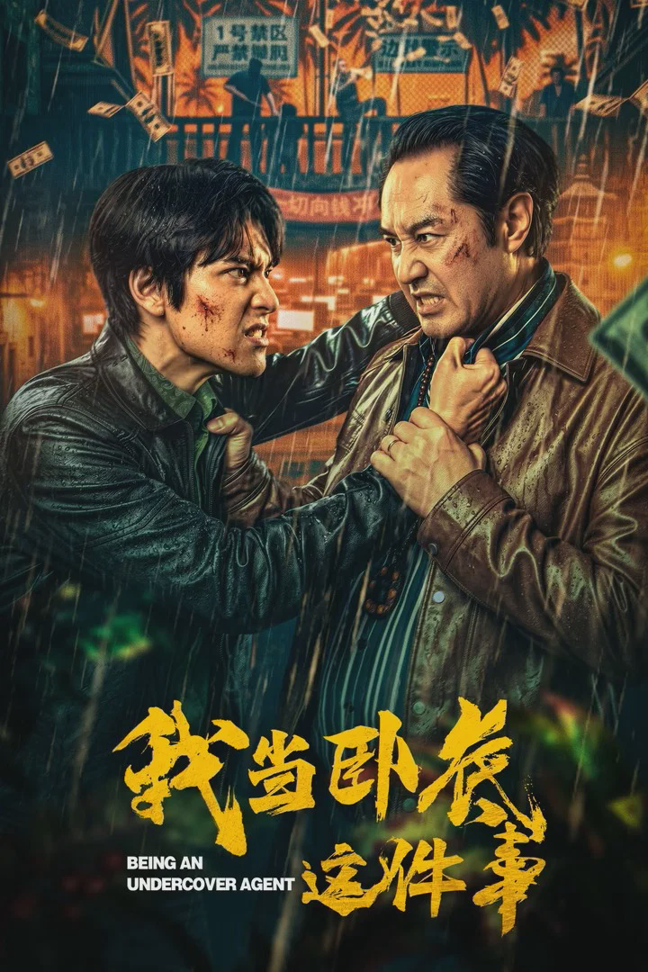 我当卧底这件事