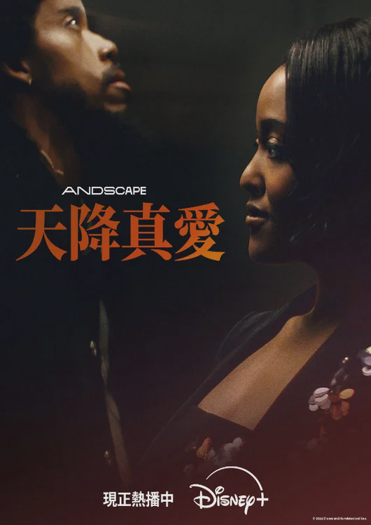 爱情专家