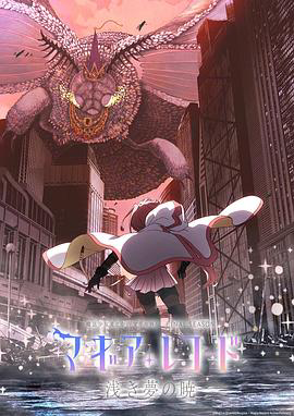 魔法纪录:魔法少女小圆外传