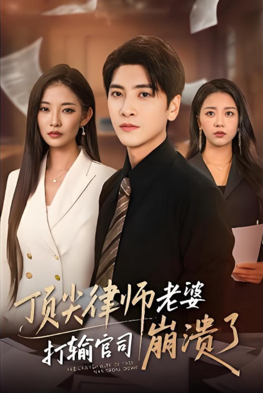 师老婆打输官司崩溃了(爱至深处不回头)