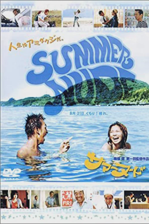 夏天的小岛