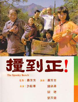 撞到正(剧情解说)
