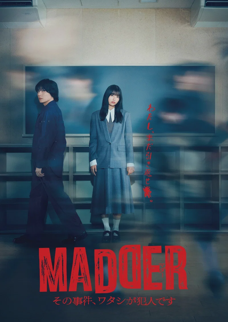 MADDER 那个事件,我是犯人