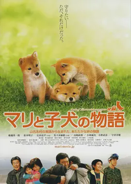 爱犬的奇迹