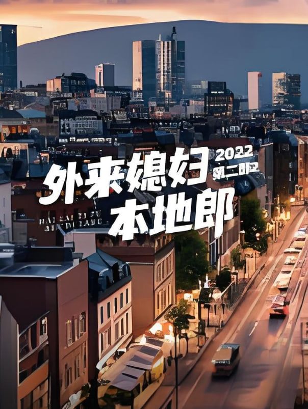 外来媳妇本地郎 第二部