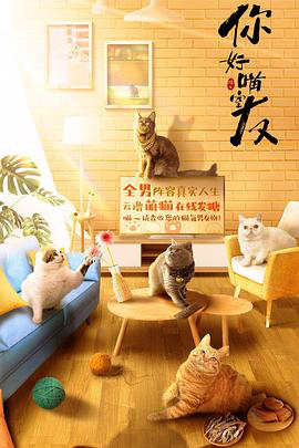 你好,喵室友