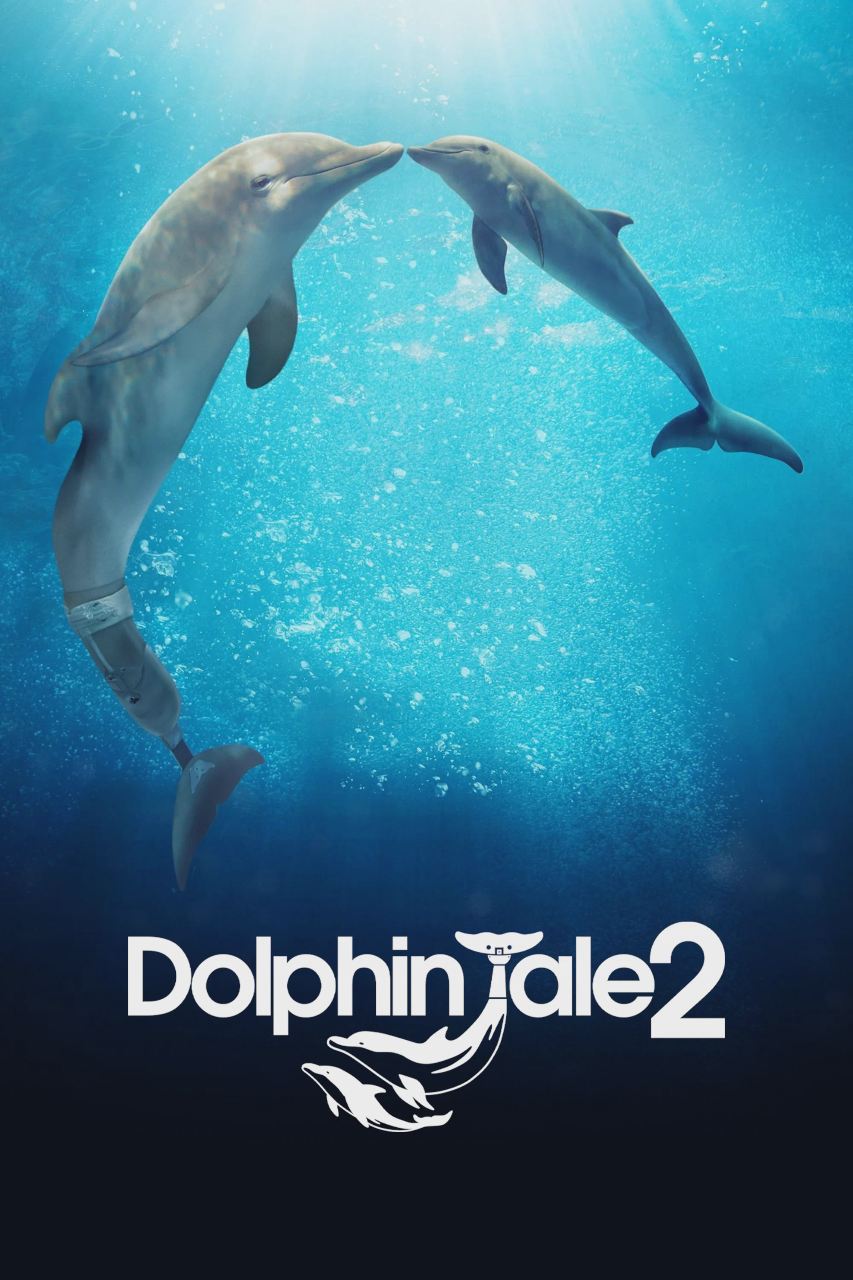 海豚的故事2
