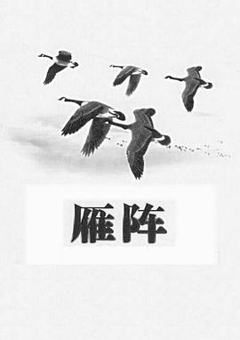 雁阵1991