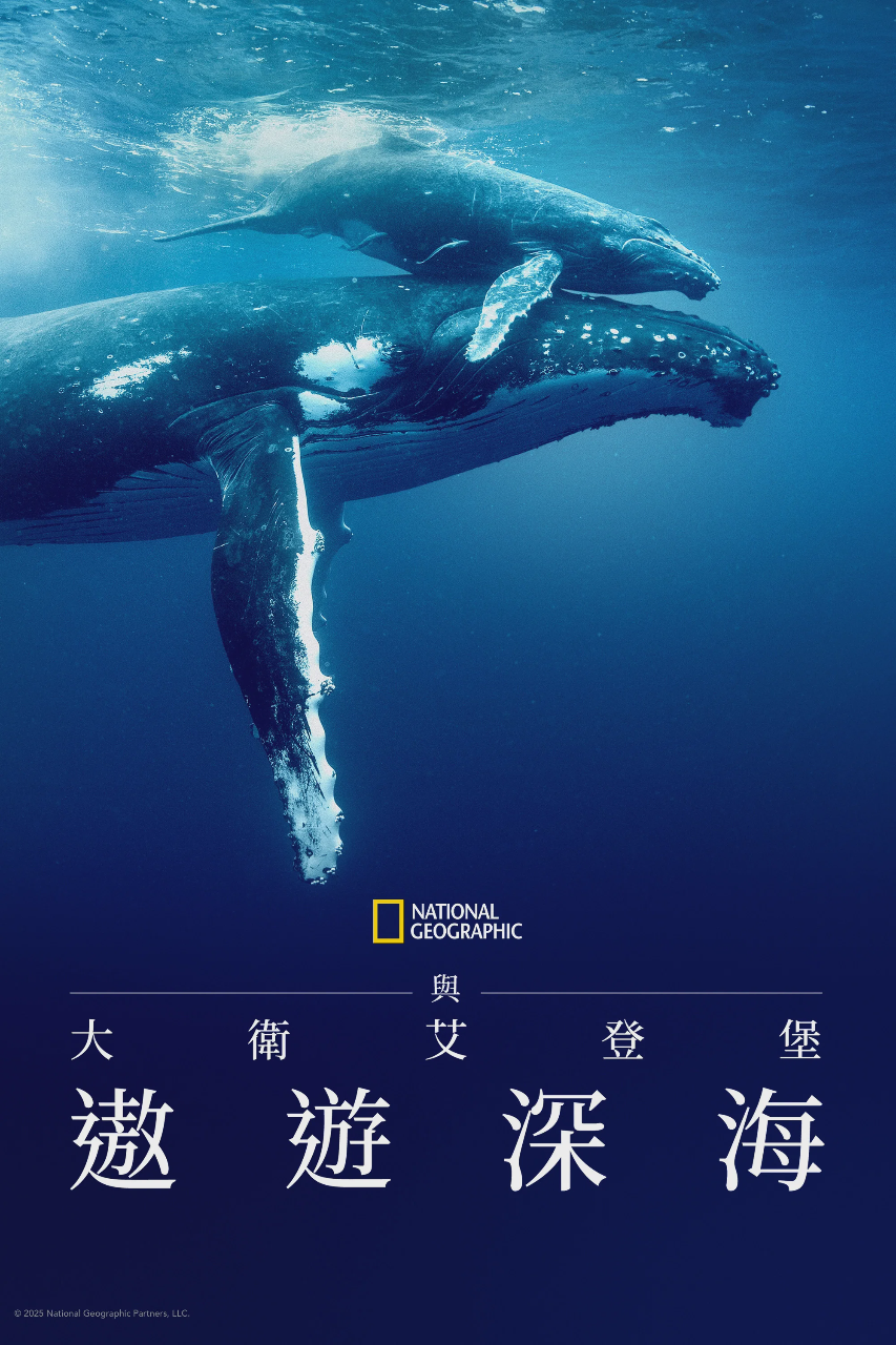 大卫·爱登堡:海洋