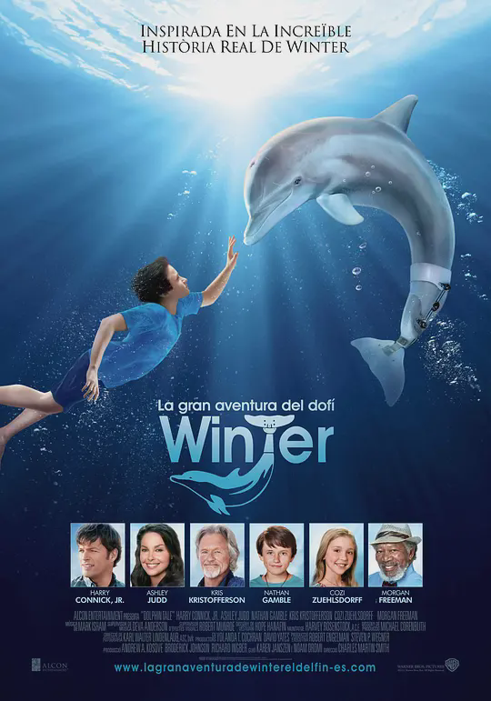 海豚的故事