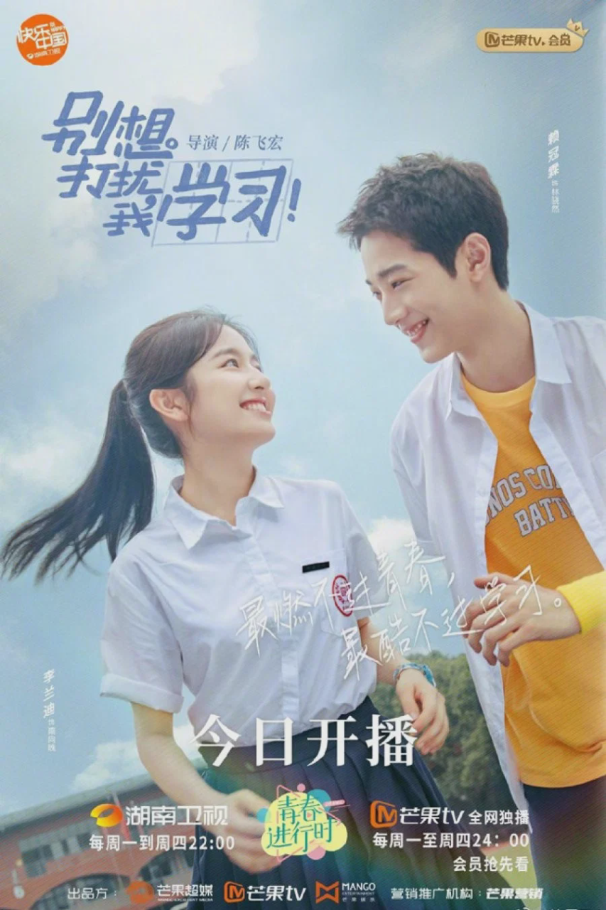 别想打扰我学习