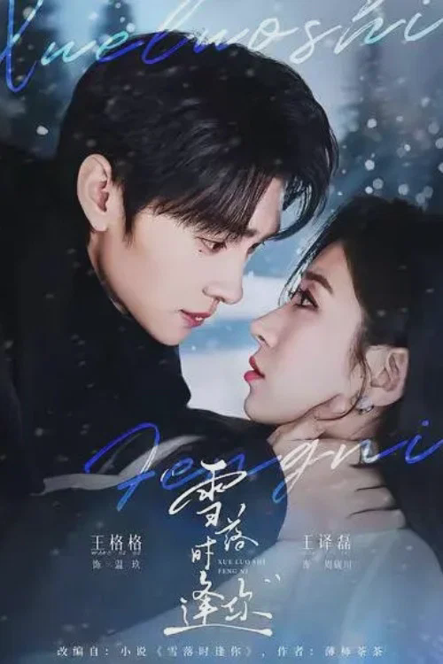 雪落时逢你