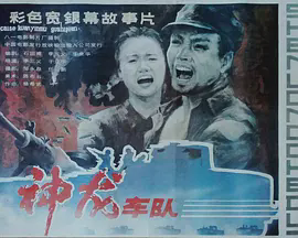 神龙车队