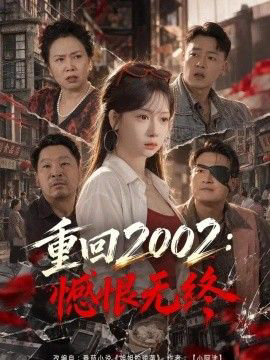 重回2002:憾恨无终