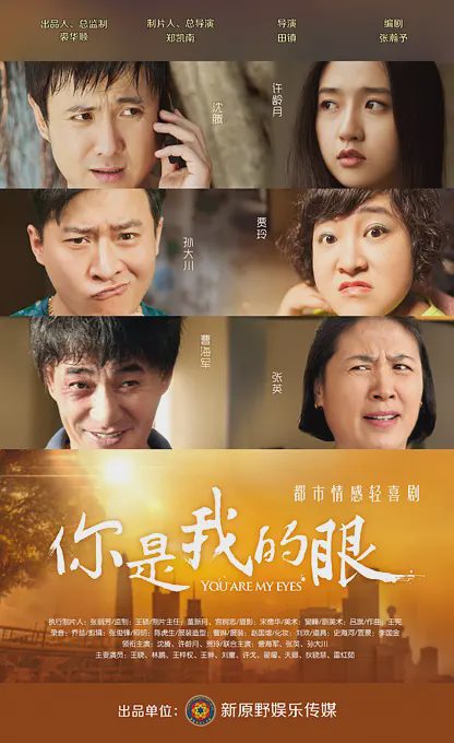 你是我的眼2015