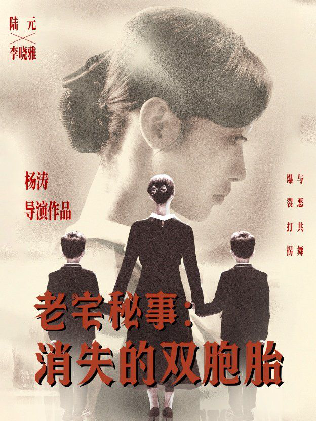 老宅秘事消失的双胞胎(消失的孩子)