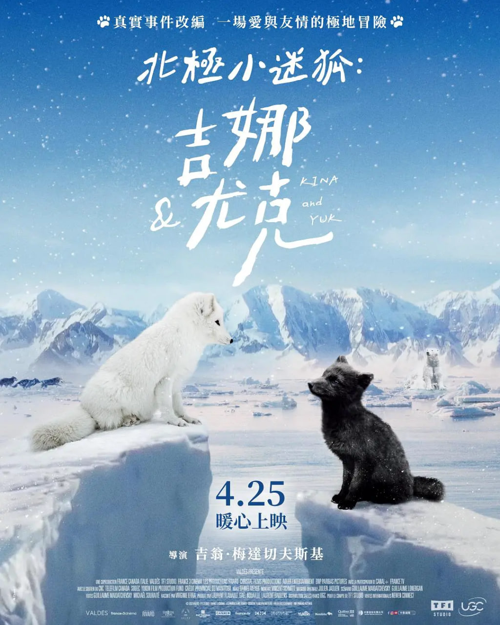 北极小迷狐:吉娜和尤克