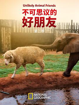 不可思议的好朋友