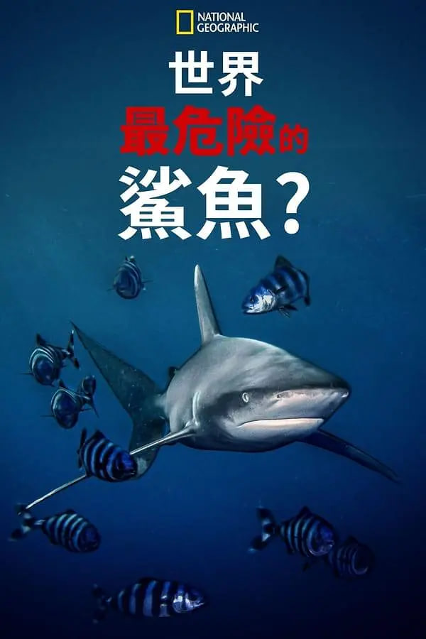 世上最危险的鲨鱼