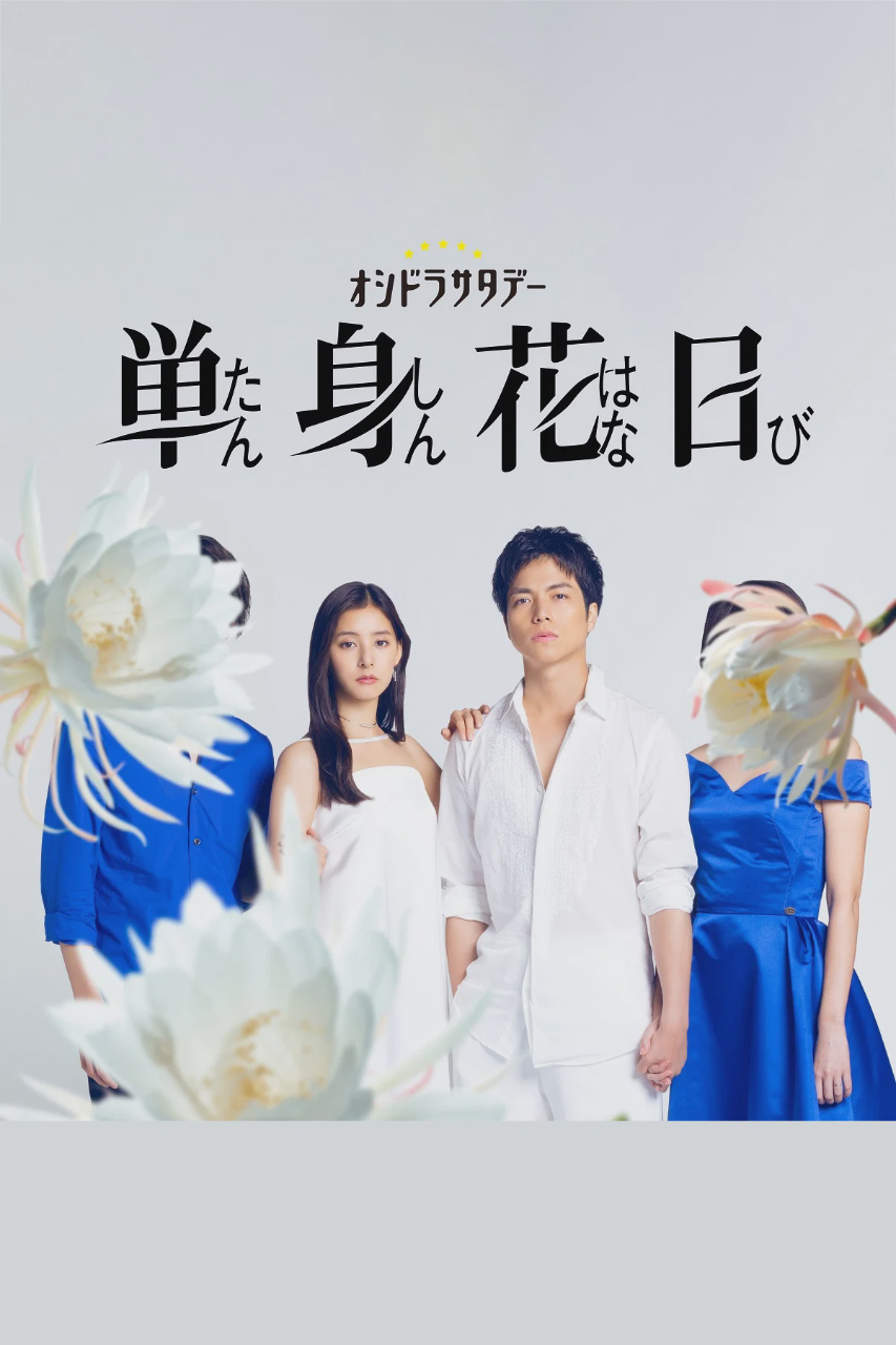 单身初恋日记