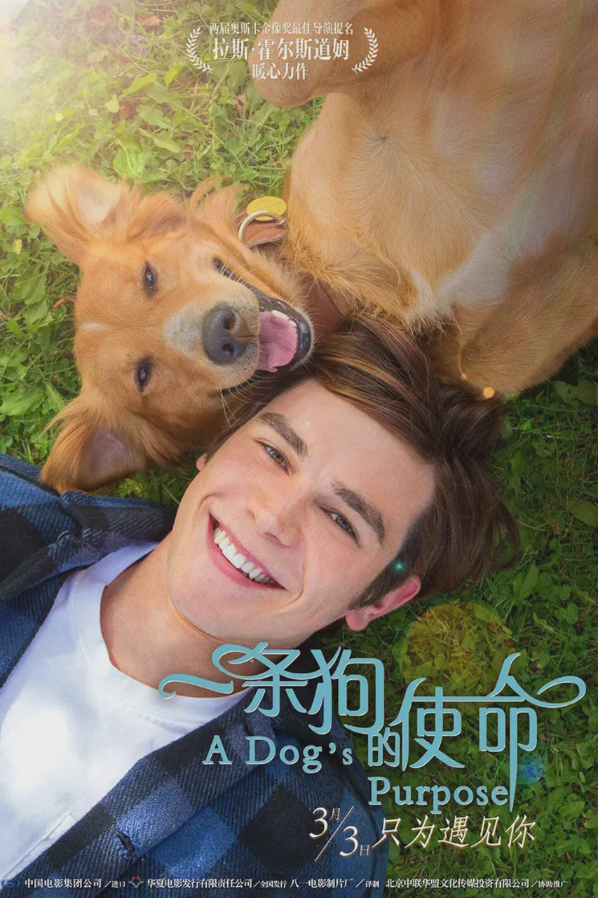 一条狗的使命