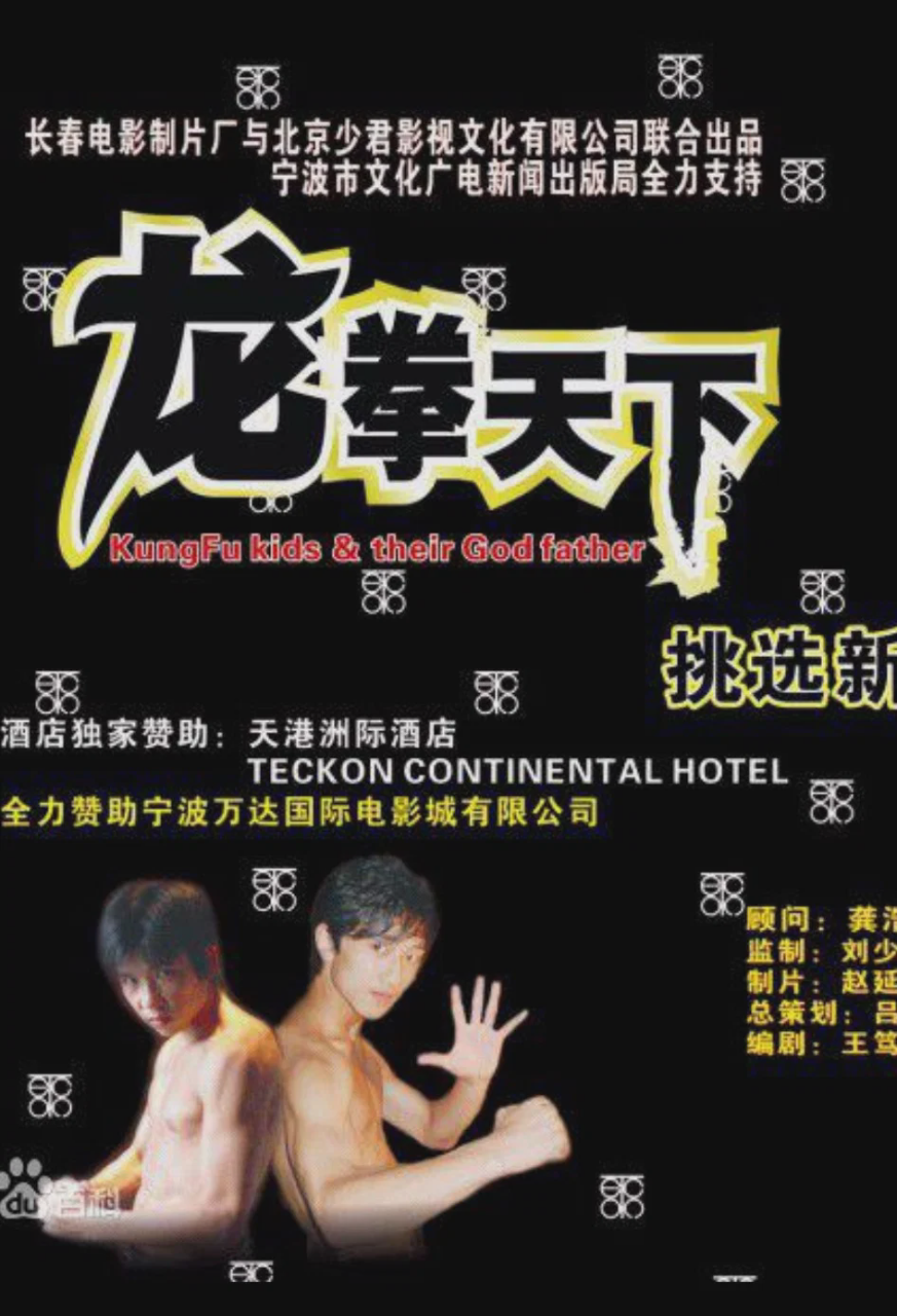 龙拳天下