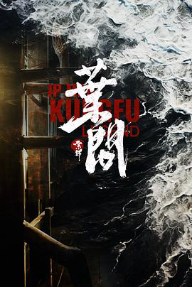 宗师叶问2026